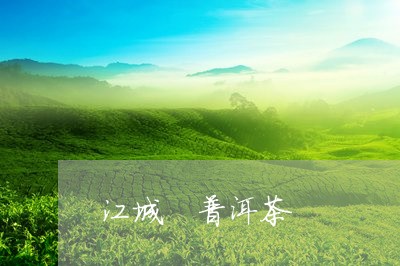 江城 普洱茶/2023042876554